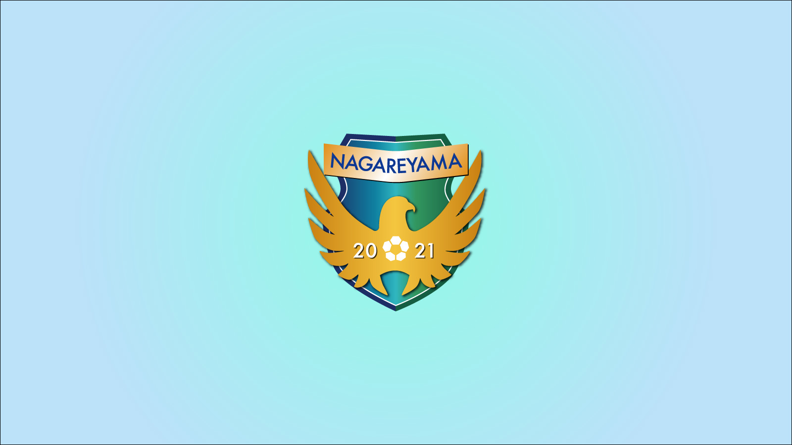 NAGAREYAMA F.C.