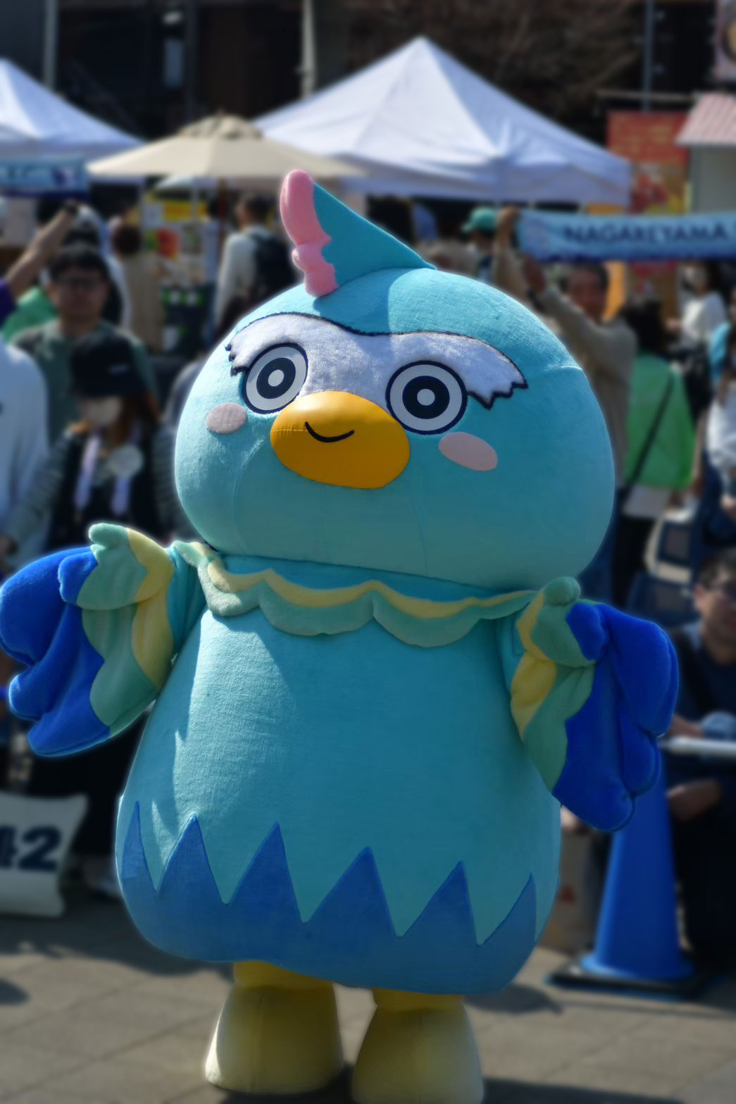 たっか〜くん